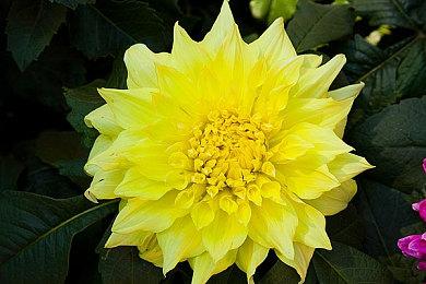 8位像素动作游戏《球棒小子》5月25日上市